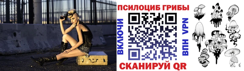 нарко площадка клад  Нюрба  Псилоцибиновые грибы Psilocybe  где можно купить  